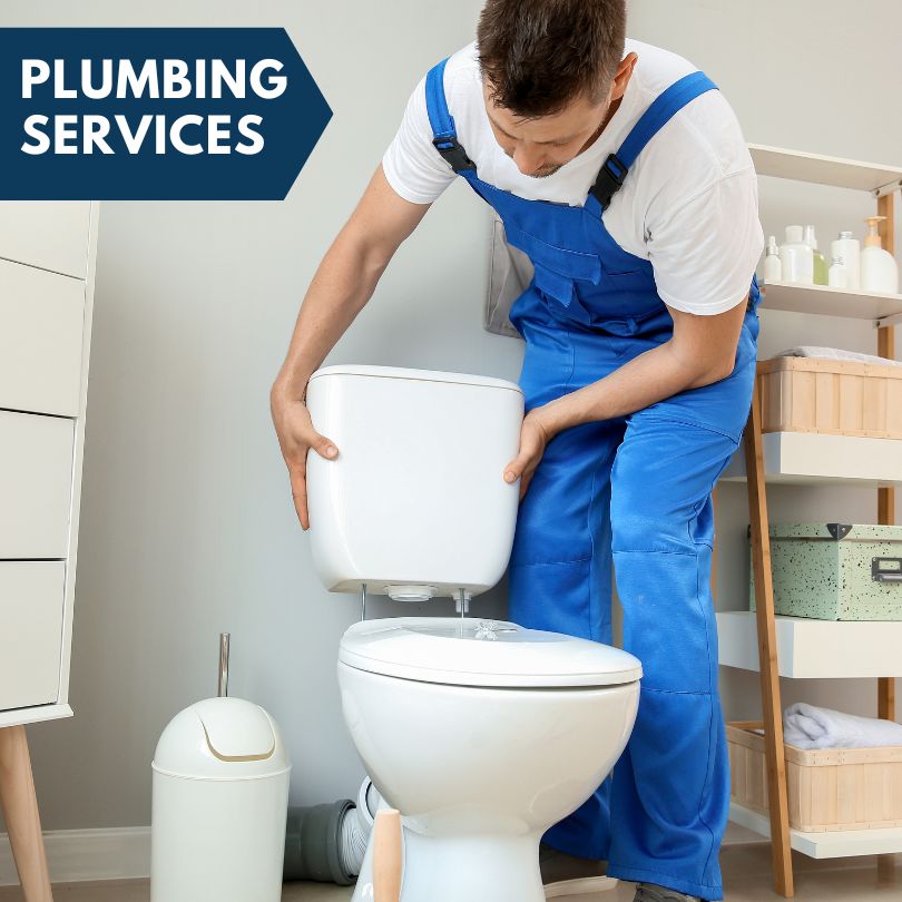 Plumbing Company in Falmouth, MI